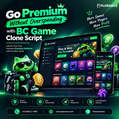 Premium Gaming, Budget-Friendly BC Game Clone Script
